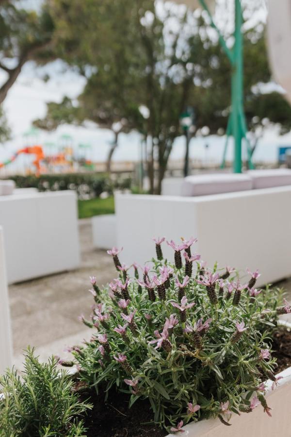 Hotel Villa Franca リニャーノ・サッビアドーロ エクステリア 写真